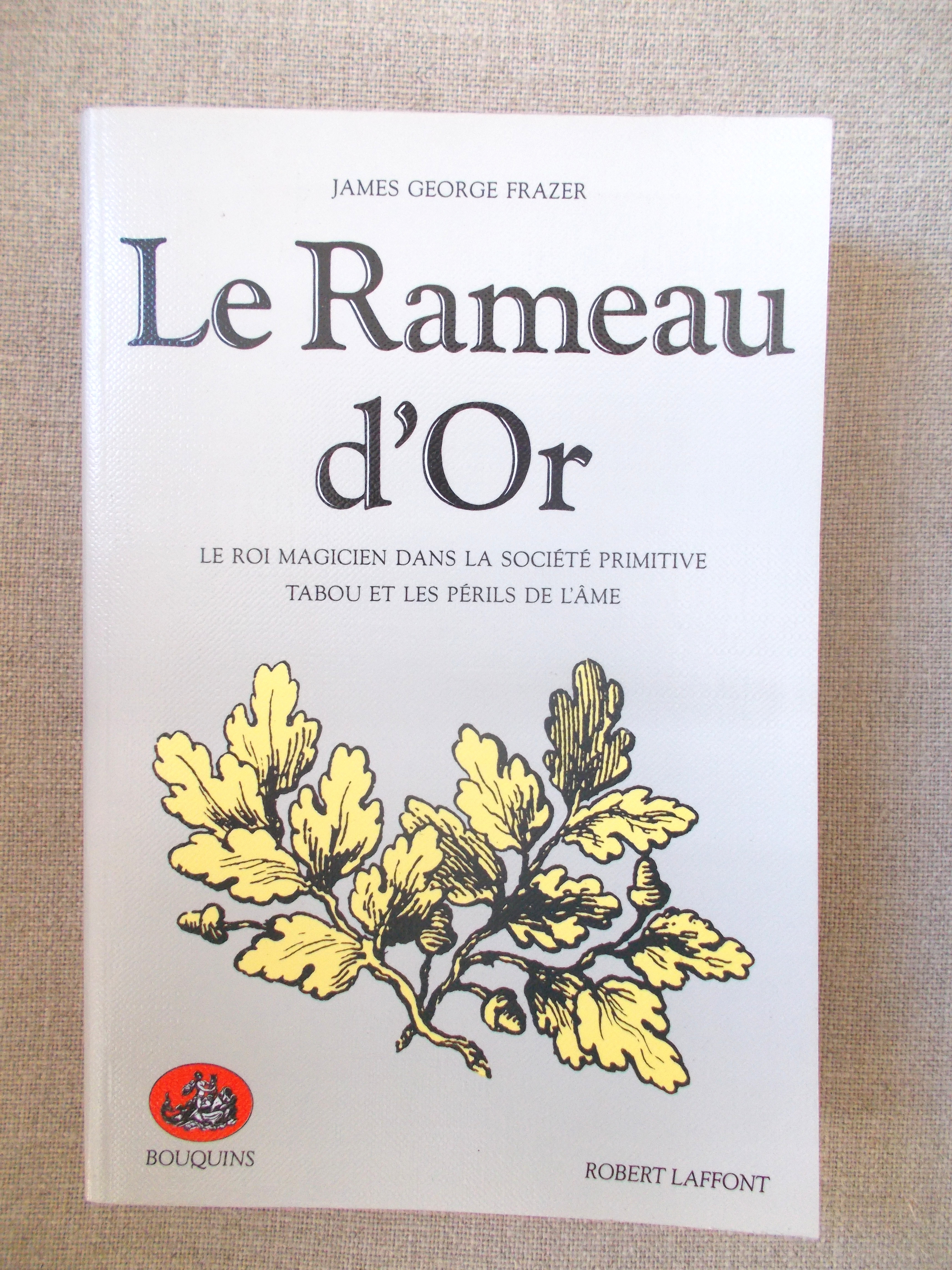 Samorix et le rameau d'or main image 0